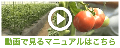 動画で見るマニュアルはこちら
